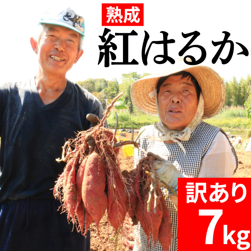 
訳あり 熟成 紅はるか 7kg 2S～3Lサイズ さつまいも いも 低温熟成 完全熟成収穫 甘い 糖度 焼き芋 やきいも スイートポテト おやつ サイズミックス 2S～3Lサイズ 高糖度 料理 国産 愛媛県 愛南町 青果市場
