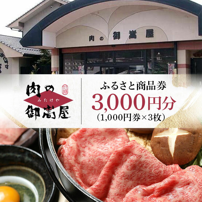 【ふるさと納税】 商品券 割引券 飛騨牛 ブランド和牛 和牛 肉 牛肉 お肉 炭火焼豚 焼豚 肉の御嵩屋 創業昭和元年の味 送料無料 y14-237