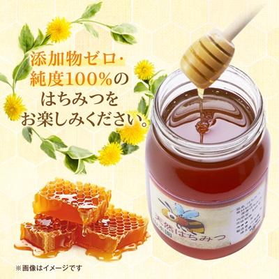 ふるさと納税 三郷市 三郷産はちみつ |  | 02