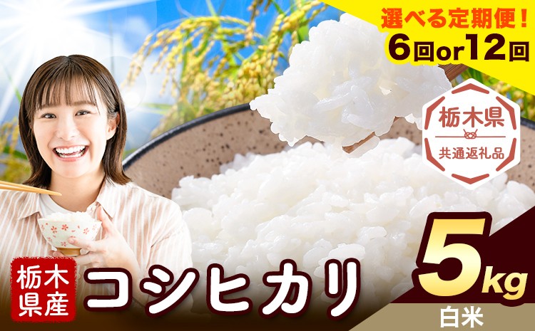 
                  【選べる定期便回数 6ヶ月or12ヶ月】米 栃木県産 コシヒカリ 白米 5kg《お申込み翌月から出荷》栃木県 野木町 米 白米 精米 国産 お米 おこめ お弁当 おにぎり【栃木県共通返礼品】
                