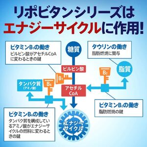 【定期便 3回】 リポビタンD 100ml 50本 栄養ドリンク 【リポビタンD】