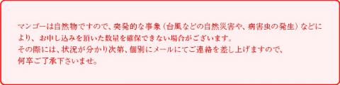 ＜鉢植え 樹上完熟マンゴー 400～450g×4玉 計1.6kg～1.8kg＞2023年5月上旬～6月中旬迄に順次出荷