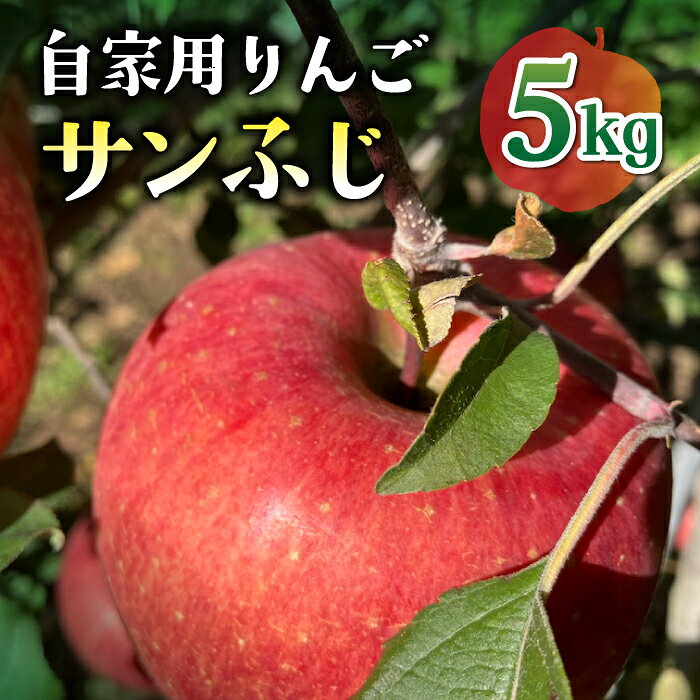【ふるさと納税】【先行受付2026年発送】農家直送！自家用りんご サンふじ　5kg （約12～18個）｜のららぼ農園 ※2026年11月上旬～11月下旬発送予定