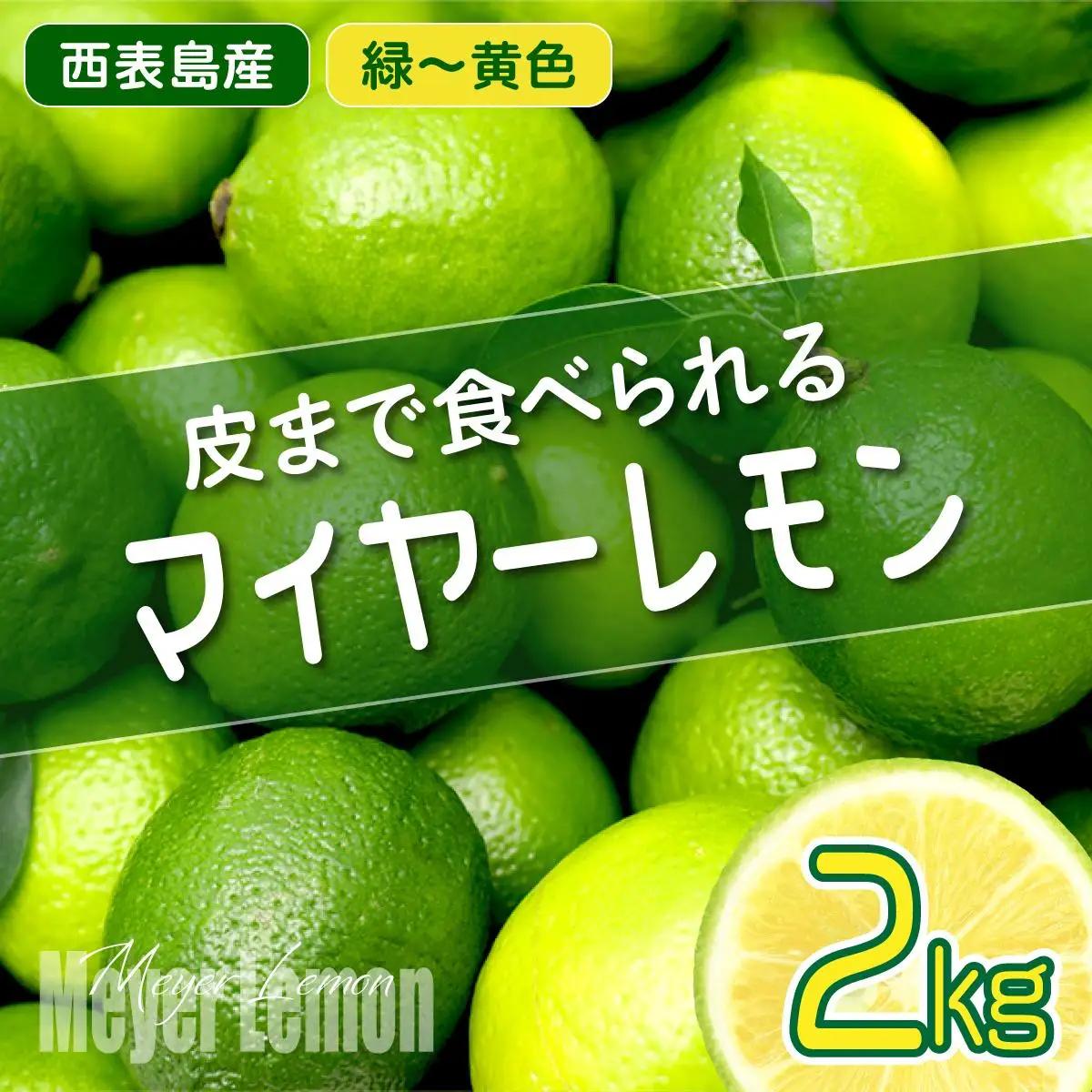 【2026年発送】まろやか多汁マイヤーレモン （島レモン）約2kg