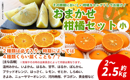 ＜西予の美味しい柑橘セレクト（ご家庭用）／おまかせ柑橘セット（小）約2～2.5kg＞ 果物 くだもの フルーツ 蜜柑 みかん ミカン 柑橘 ご家庭用 温州みかん 食べて応援 国産 愛媛県産 特産品 西