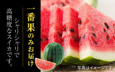 【先行予約】小玉スイカ ひとりじめ 4玉 2Lサイズ 【株式会社 前田ファーム】[ZCM012]