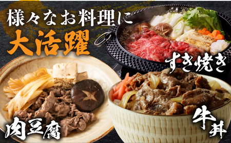 ≪訳あり≫黒毛和牛肩ローススライス(計500g) 肉 牛 牛肉 国産_T025-004【 人気 牛 ギフト 牛 食品 牛 お肉 牛 すき焼き 牛 贈り物 牛 送料無料 牛 国産 牛 小間切れ 牛 切り