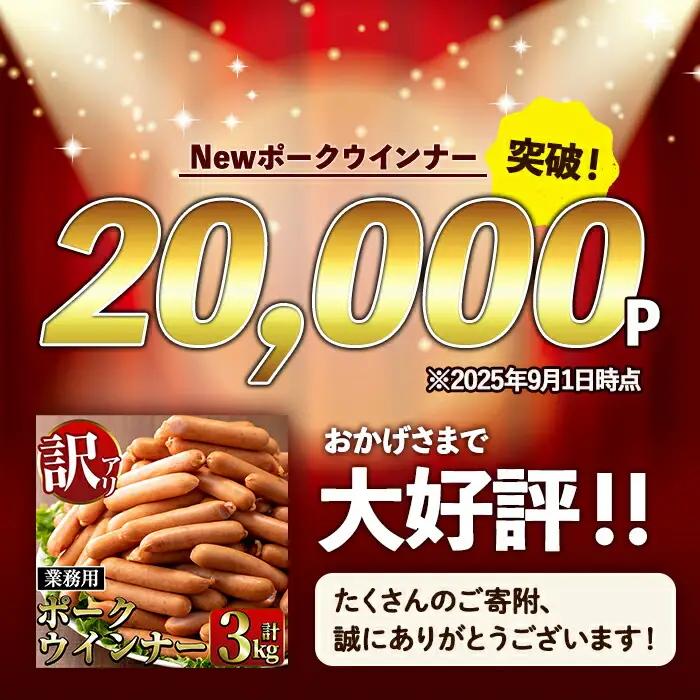 ＜定期便・計3回(連続月)＞ New ポーク ウインナー (業務用) 1kg×3P×3回 計9kg ウインナー ソーセージ 【ナンチク】i1203-A