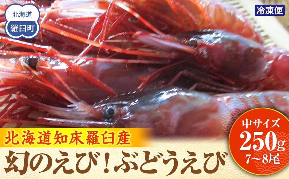 
                  幻のぶどうえび（中・250g /7～8尾） エビ 海老 ブドウエビ 羅臼町 北海道 魚介類 魚介 海産物 冷凍 生産者 支援 応援
                