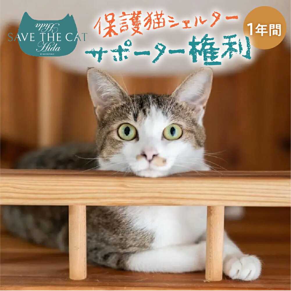 【ふるさと納税】保護猫シェルターサポーター 1年間 権利 SAVE THE CAT HIDA PROJECT ねこ ネコ 猫 支援 保護猫ライフ 観光 旅行 体験[Q2716]30000円 3万円 50000円 5万円 100000円 10万円 150000 15万円ネコリパブリック