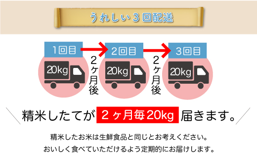 ＜令和7年産米＞ 令和8年5月上旬より発送 はえぬき【無洗米】60kg定期便(20kg×3回)