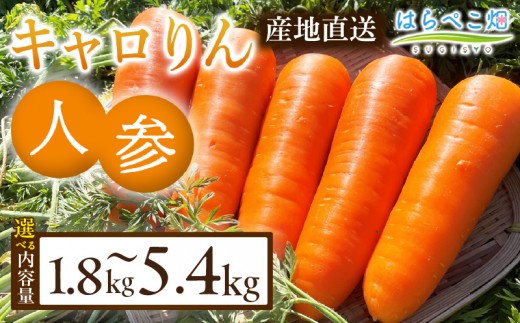 
                  《選べる容量》人参『キャロりん』（1.8kg）・H105-SKU
                