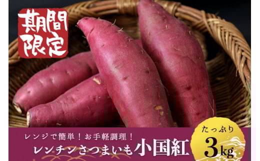 
            【先行予約】阿蘇小国産 令和7年収穫・レンジ用甘藷「小国紅」3kg（2本入×8袋）
          