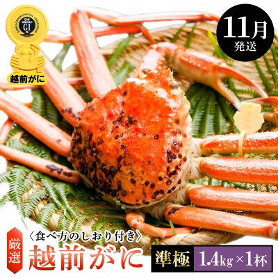 ≪浜茹で≫ 越前がに 準極 × 1杯【11月発送分】【配送不可地域：離島・北海道・沖縄】【1260063】