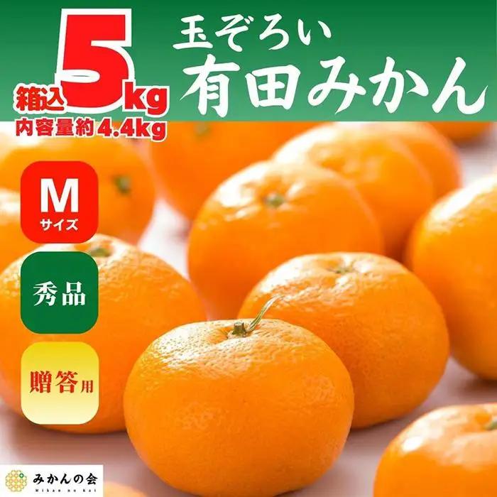 みかん Ｍサイズ 秀品 箱込 5kg (内容量約 4.4kg) 有田みかん 和歌山県産 産地直送 贈答用 ［2026年11月中旬より順次出荷予定］［みかんの会］