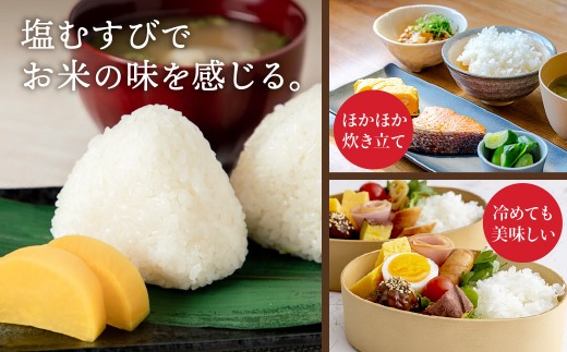 【3ヵ月定期便】丹波 コシヒカリ 令和8年産 5kg 精米 新鮮 白米 兵庫県丹波市産 寒暖差 甘み 精米したて
