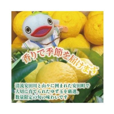 ふるさと納税 安田町 ゆず玉(安田町産)柚子　12〜15玉