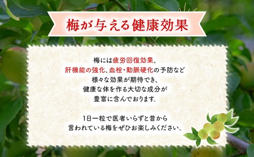 大多喜町産　無添加梅尽くし３点セット 【 ふるさと納税 梅 うめ 梅干し うめぼし 化学肥料不使用 無添加 】