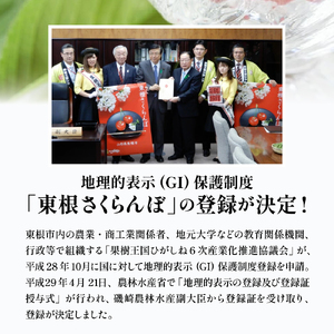 2026年 GI東根さくらんぼ「紅秀峰」500gバラ詰め 秀品 Lサイズ 東根農産センター提供 山形県 東根市 hi027-228（山形県 東根市 果物 フルーツ サクランボ さくらんぼ 紅秀峰 ジー