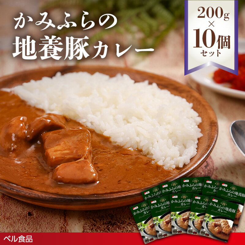 【ふるさと納税】かみふらの地養豚カレー 200g×10個セット ( ふるさと納税 レトルト カレー ベル食品 北海道 遠軽町 ) en01-00212