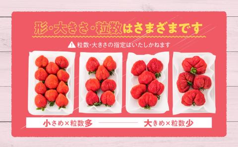 AB379.人気ナンバー1獲得★限定品★あまおう約810g（２０２６年１月以降配送）