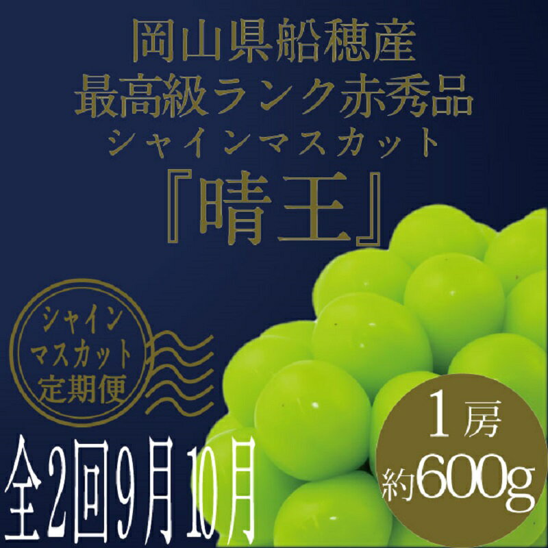 【ふるさと納税】[HS]【定期便 全2回】ぶどう 2025年 先行予約 9月・10月発送 最高級品 シャインマスカット 晴王 1房 約600g ブドウ 葡萄 岡山県産 国産 フルーツ 果物 ギフト　お届け：2026年9月上旬～2026年10月下旬