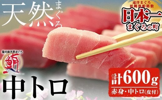 旬の天然メバチまぐろ 中トロ・赤身厳選セット 約600g