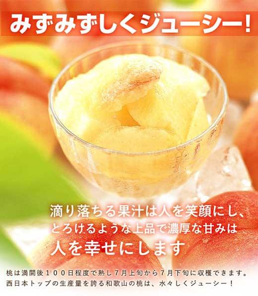 和歌山県産 白鳳 桃 11～15玉入り秀品［2027年6月下旬以降発送］［MG90］