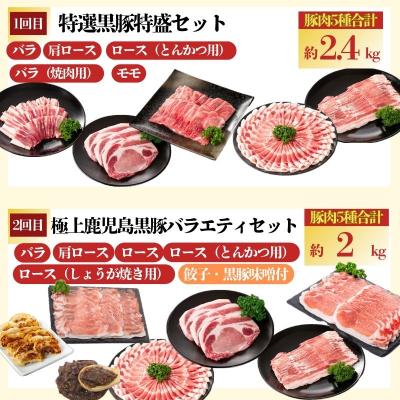 ふるさと納税 肝付町 <定期便・全6回(隔月)>極上セットF!　J02002 |  | 01