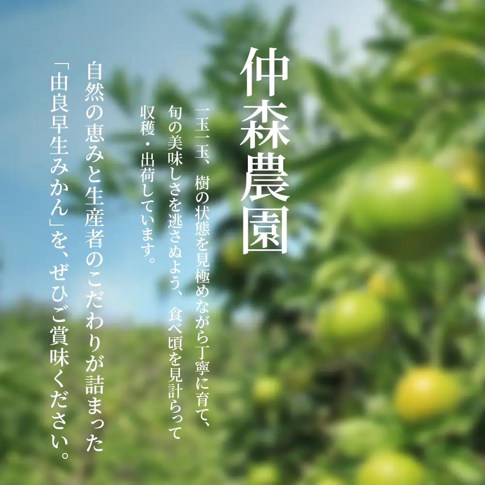 みかん 由良早生みかん 約3kg【nkmr0019】