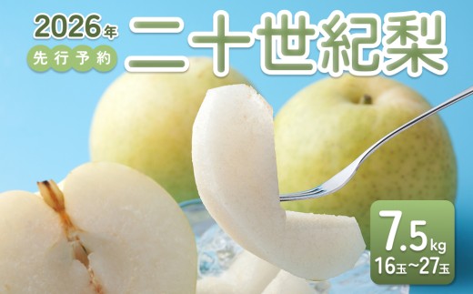 【2026年 先行予約】二十世紀梨 7.5kg｜鳥取 東光園 梨 2026年収穫後 2026年8月下旬～9月頃順次発送※着日指定不可【41054】