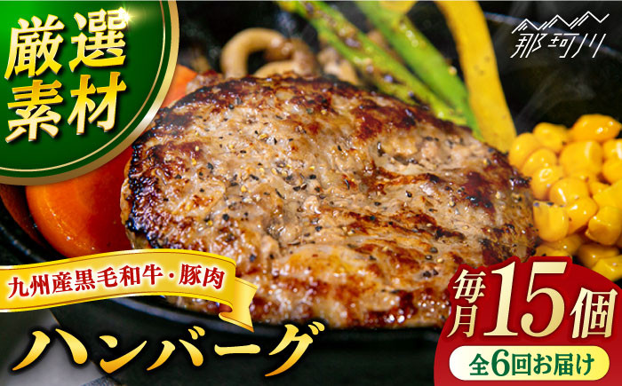 
            【全6回定期便】九州産黒毛和牛と九州産豚肉 ハンバーグ 15個セット＜なかがわ市場 うしじま＞那珂川市 ハンバーグ 豚肉 牛肉 合い挽き [GAR012]
          