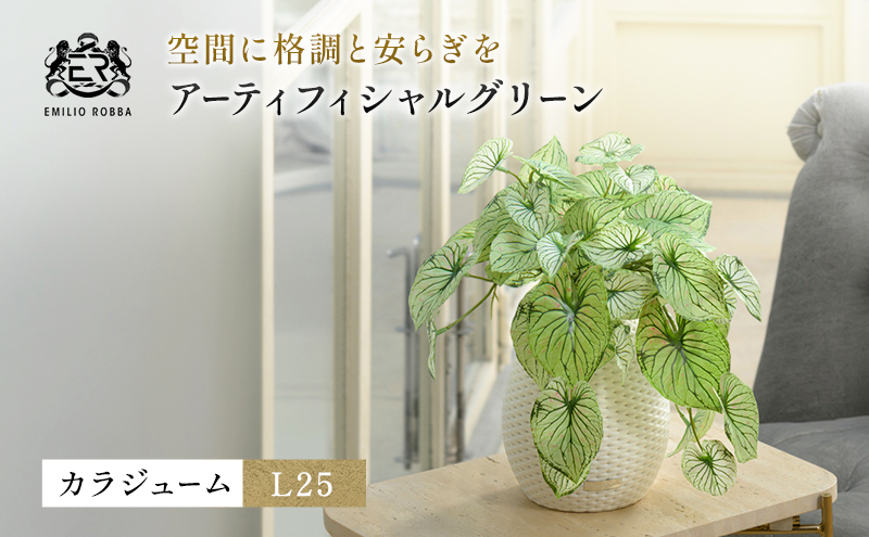 カラジュームL25 TUTEB-37200
