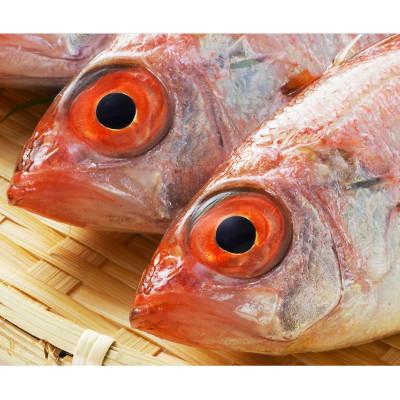 ふるさと納税 高岡市 旬の魚　昆布締めセット　2段1パック×2種 |  | 03