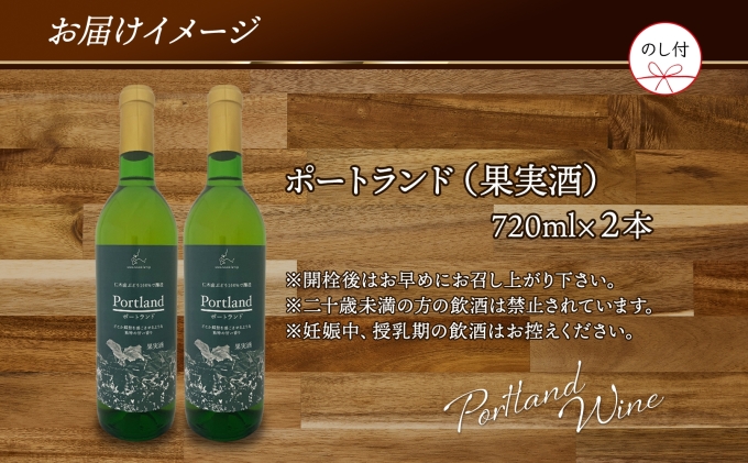 無地熨斗 ポートランド ブドウ ワイン 720ml 2本 セット  熨斗付き 葡萄 ぶどう 果実酒 お酒 アルコール 白ワイン 辛口 お取り寄せ ギフト gift ボトル 御中元 お中元 熨斗 のし