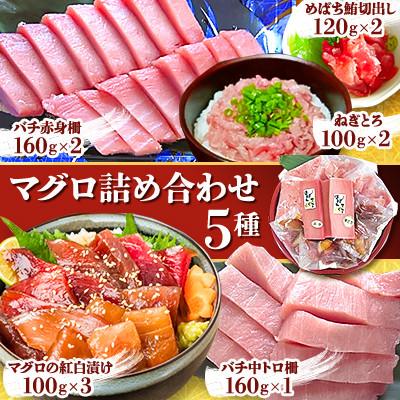 ふるさと納税 静岡市 【マグロ詰め合わせ】5種 バラエティパック〜めばち鮪切り出し、ねぎとろ、赤身柵、中トロ柵、紅白漬け〜