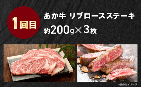 【全3回定期便】【GI認証】くまもとあか牛 食べ比べ F リブロース トモサンカク 赤身モモブロック【有限会社 三協畜産】[AYCQ031]