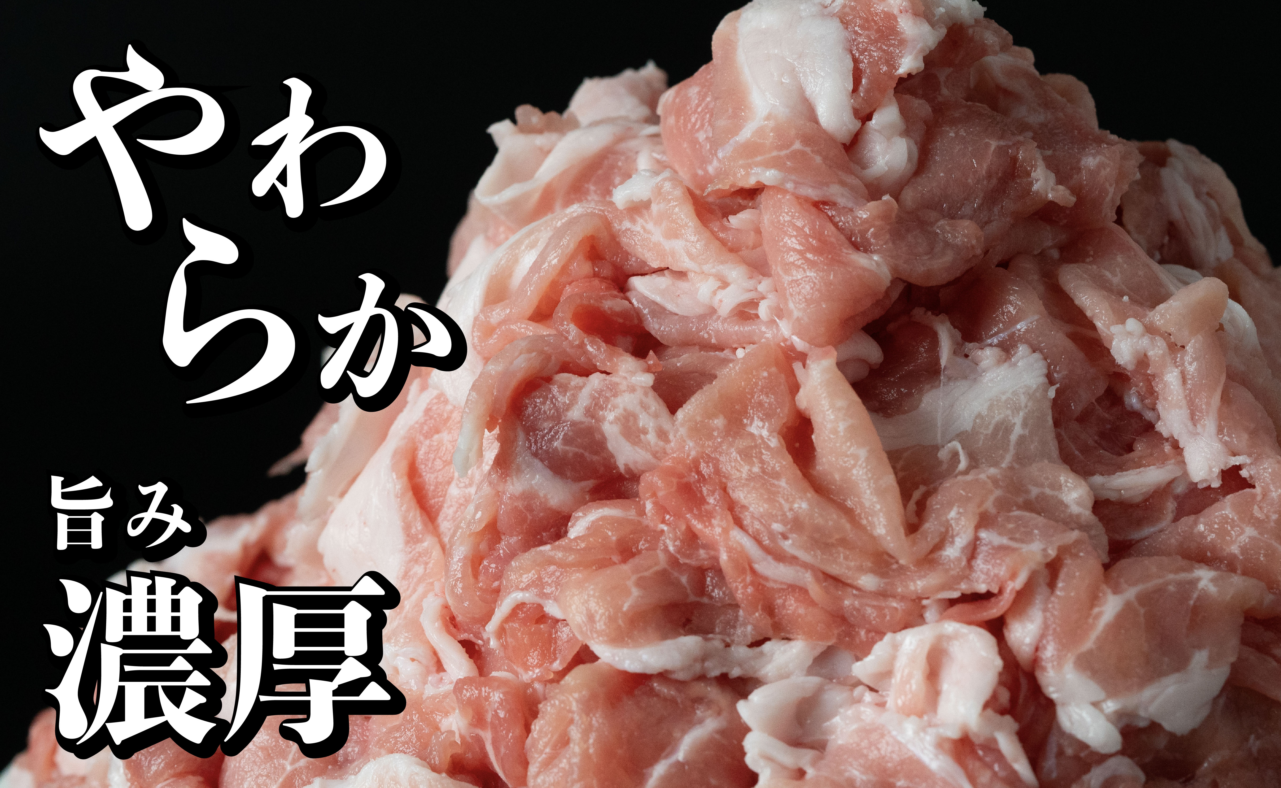 B570 《定期便》長崎県産豚 小間切れ 計1.8kg(300g×6)【3回お届け】