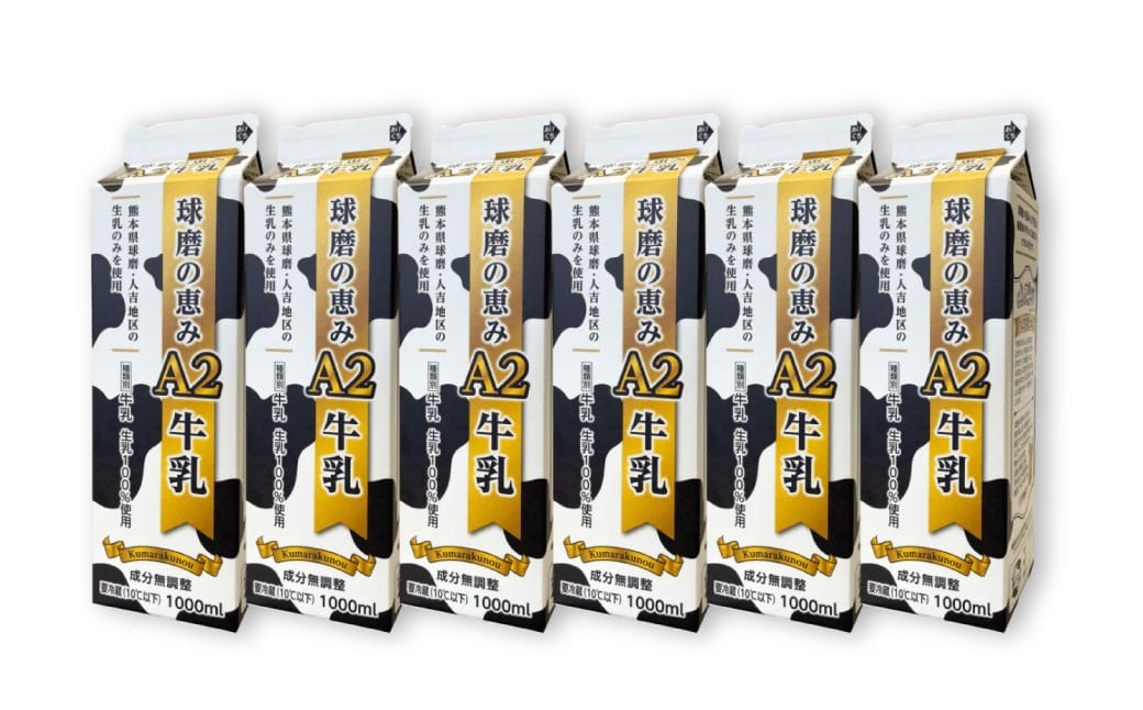 
            球磨の恵みA2牛乳 6本パック 合計6000ml 牛乳 ミルク Bカゼイン βカゼイン 冷蔵 九州 熊本県産 人吉球磨
          