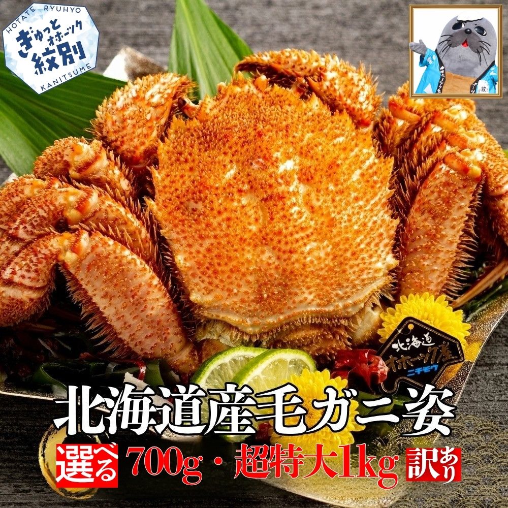 【ふるさと納税】訳あり 北海道産 毛ガニ | ボイル 毛ガニ 毛蟹　毛がに カニ かに 蟹 かに姿 姿 選べる 超特大 紋別市 紋別 アザラシ