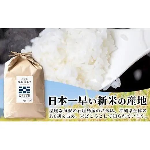石垣島産 星の美しゃ（ほしのかいしゃ）20kg（5kg×4袋）　MK-5
