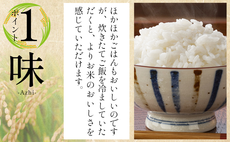 【7日程度で発送】新米 令和7年産 コシヒカリ 2kg - お米 おこめ 国産 米 精米 こしひかり ごはん 白米 ご飯 おにぎり おむすび 料理 調理 防災 非常食 備蓄 早い すぐ届く 早く届く 