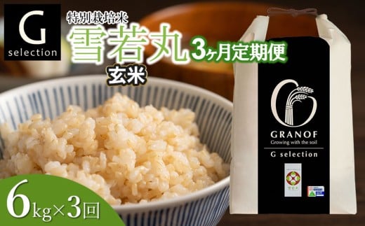 【令和7年産】【新米】【定期便3ヶ月】 Gセレクション 雪若丸「玄米」 6kg (6kg×1)×3ヶ月 山形県鶴岡市産　株式会社グラノフ
