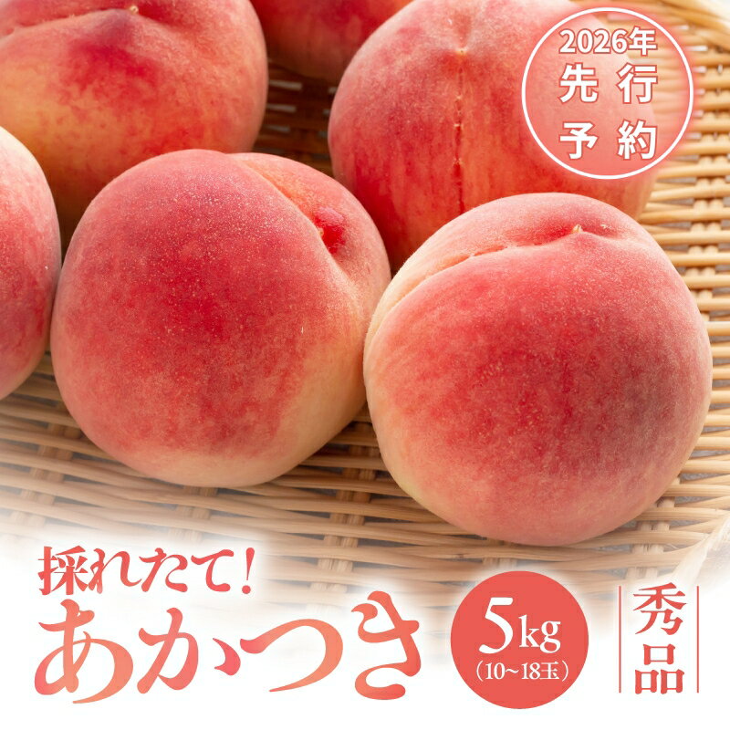 【ふるさと納税】【2026先行予約】 南信州産 あかつき 約5kg 秀品 | あかつき 桃 もも モモ 果物 くだもの フルーツ ジューシー 信州 南信州 送料無料 先行予約 ふるさと納税 長野県 飯田市 K32