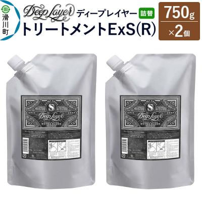 ふるさと納税 滑川町 ディープレイヤー トリートメント ExS 詰替 750g×2個|19_sss-320201