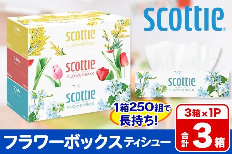 ティッシュペーパー スコッティ ティシュー フラワーボックス 250組 3箱パック×1パック 秋田市オリジナル 最短翌日発送