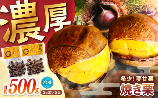 【先行予約】夢甘栗 焼き栗 2袋 約500g 〈2026年11月上旬～2026年11月下旬頃発送〉 【仁淀川流域夢甘栗生産者組合 くり蔵】 [ATDR005]