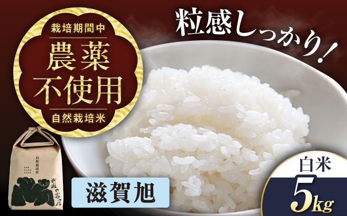 
            【先行予約/令和7年産新米】自然栽培米 玄米 滋賀旭 5kg 栽培期間中 農薬不使用    長浜市/株式会社お米の家倉 [AQCP039] 米 お米 白米  5kg  滋賀旭 自然栽培米  滋賀県産 長浜市産 こめ 玄米 白米 精米 お米 新米 食品 ふるさと納税 国産 炊きたて 米ギフト もちもち ブランド米  食卓 美味しい 産地直送 節約 人気
          