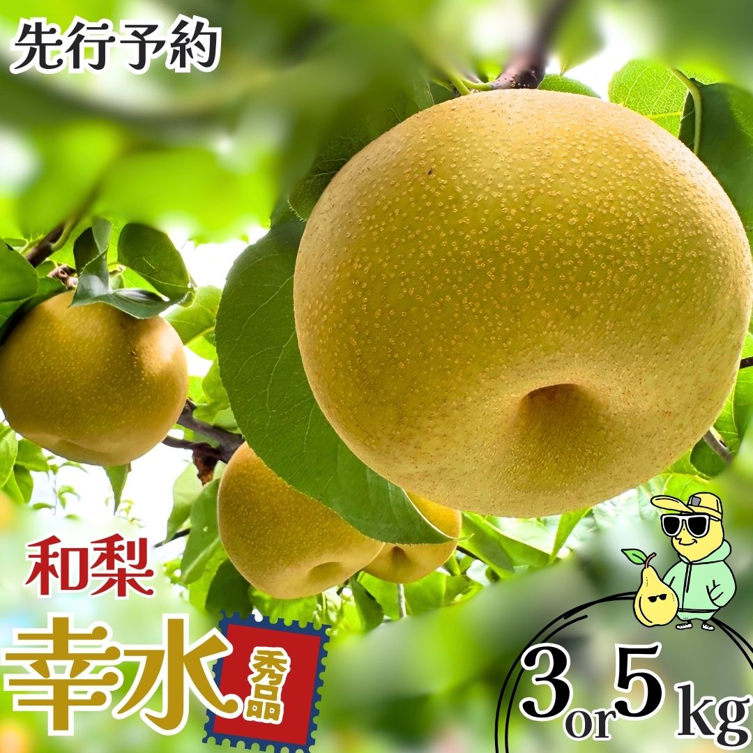 【ふるさと納税】先行予約 和梨 幸水 約3kg・約5kg 秀品 選べる容量 令和8年度 冷蔵 新潟フルーツ 新潟県産 梨 [三条ファームWIN] 【011S330】