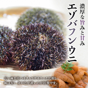 【鮮度抜群！極上生えぞバフンうに】生うに塩水詰め100g×2 ふるさと納税 うに F4F-3212